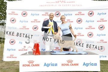 181848_kar_01__62_1109.JPG
