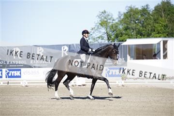 181449_kbb_01_6II9608.JPG