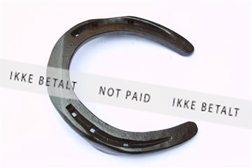 1257_03_IMG_0122.JPG