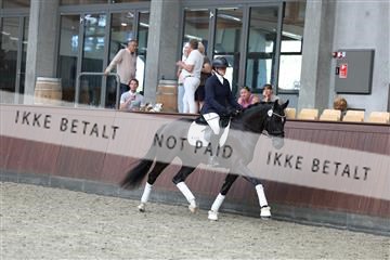 181852_mtp_05_R62_3342.JPG