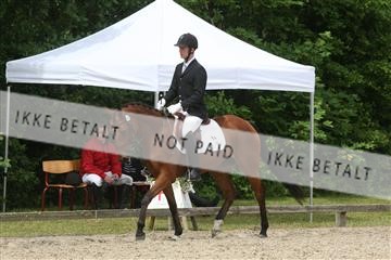 135518_ms_01_IMG_1462.JPG