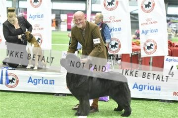 163793_bkn_01__BKN8895.JPG
