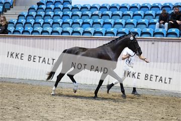 181887_mtp_06_R62_0003.JPG