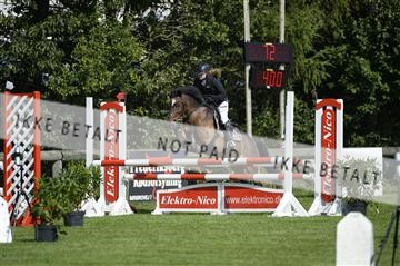 144548_abo_01__ab13624.JPG