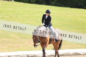 174618_mtp_01_3M5A0724.JPG