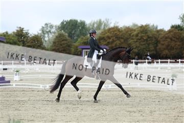 181923_mtp_03_R62_7386.JPG