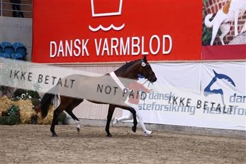 181957_avh_02_5004.JPG
