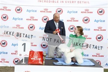 181848_kar_01__62_2566.JPG