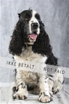 129608_le_ 02_0235.JPG