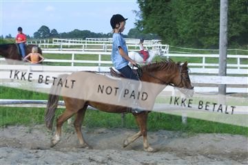 110-1037_IMG.JPG