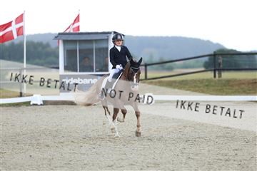 181894_mtp_05_R62_4234.JPG