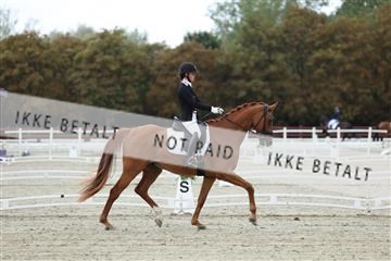 181923_mtp_02_R62_7073.JPG