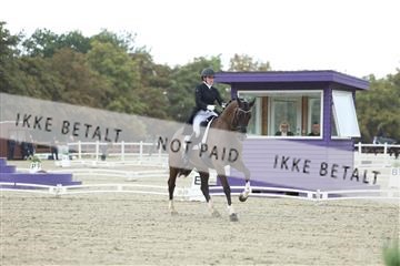 181923_mtp_04_R62_8335.JPG