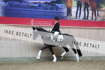 181887_mtp_01_R62_6977.JPG