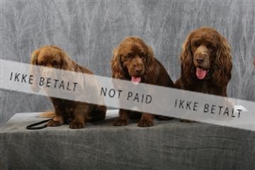 129608_le_ 01_0759.JPG