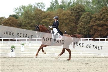 181923_mtp_04_R62_8540.JPG