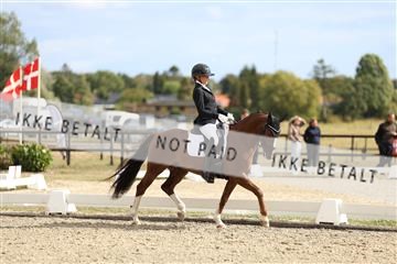 181894_mtp_02_R62_2357.JPG
