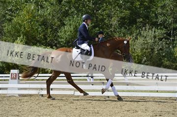 136195_abo_01__AB15999.JPG