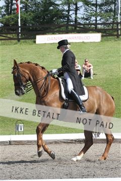 135676_sg_01_IMG_7794.JPG