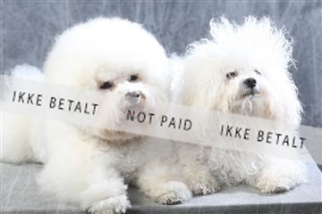 129608_le_ 01_0501.JPG