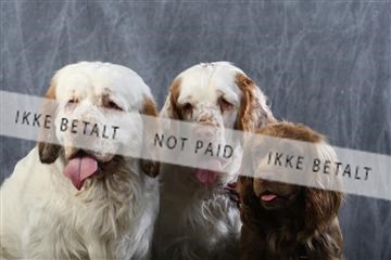 129608_le_ 01_0715.JPG