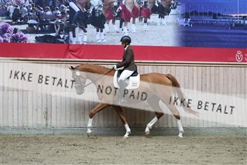 181887_mtp_01_R62_7045.JPG