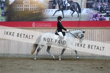 181887_mtp_02_R62_7447.JPG