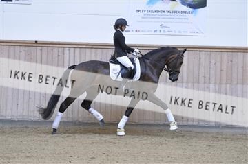 160111_nn_01__ESK1856.JPG