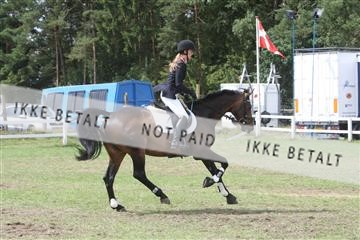 5925_ma_05_IMG_0863.JPG