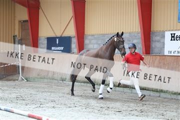 181868_mtp_01_R62_5129.JPG