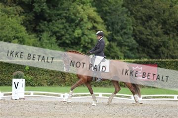 181957_mtp_01_3M5A7738.JPG