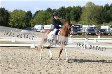 181894_mtp_05_R62_4862.JPG