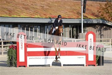 181922_avh_05_2451.JPG