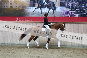 181887_mtp_02_R62_7800.JPG