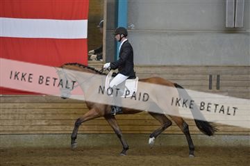 144288_abo_01__AB22777.JPG