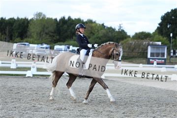 181894_mtp_05_R62_5145.JPG
