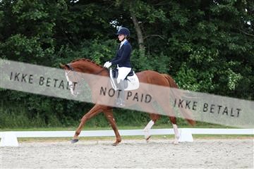 172073_mtp_01_3M5A3074.JPG