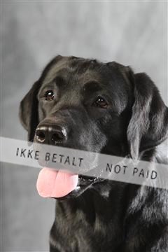 129608_le_ 01_0291.JPG