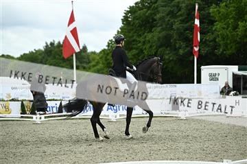 181449_kbb_03_Z090873.JPG
