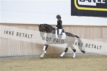 160111_nn_01__ESK1876.JPG