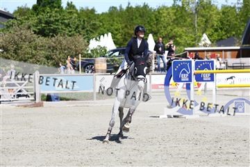 181436_avh_02_3679.JPG