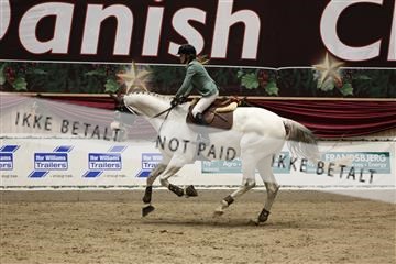 175934_avh_01_5698.JPG