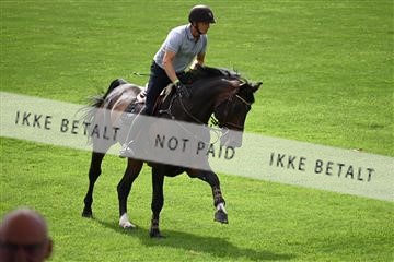 175339_akl_01_Z6D_0162.JPG