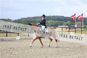 181894_mtp_04_R62_3848.JPG