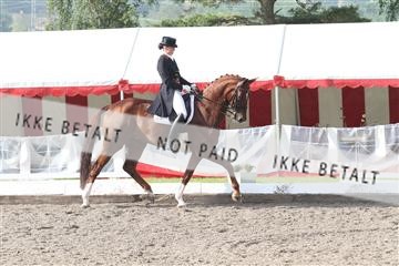 135676_sg_01_IMG_7376.JPG