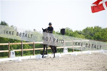 181449_kbb_02_6II1163.JPG