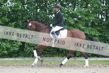135518_ms_01_IMG_0895.JPG