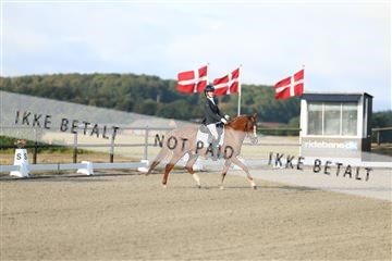 181894_mtp_04_R62_3015.JPG