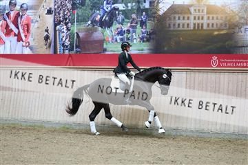 181887_mtp_04_R62_8565.JPG