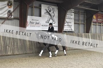 173181_kbb_01__D4S6429.JPG